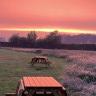 Erve Zonnehoeve
