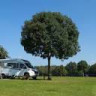 Camping Nederrijkswald