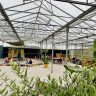 Camping Boven het Maaiveld