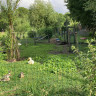 Camping &amp; Geitenkaasboerderij de Br&ouml;mmels