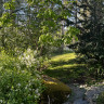 Victors Trädgård