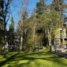 Victors Trädgård