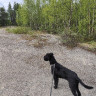 Enontekiö Parkkipaikka
