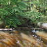 Rankås naturcamping