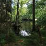 Rankås naturcamping
