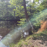 Rankås naturcamping