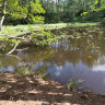 Rankås naturcamping