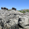 Panoramahyttene