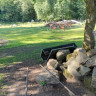 Wildpark rollerbü