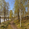Stiftelsen Backamo L&auml;gerplats