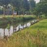 Natuur-Camping en Kanoverhuur de Gouw