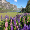 Sølvgarden Hotell og Feriesenter