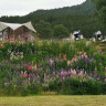 Sølvgarden Hotell og Feriesenter