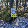Skoghalla Naturcamping