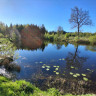 B&auml;ckaskog Camping 