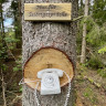 B&auml;ckaskog Camping