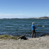 Tjuvkils Hamn