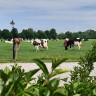 Wohnmobilpark De Ruitenborgh