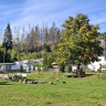 FellbergBAUDE