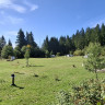 FellbergBAUDE