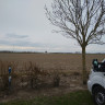 Essenhoeve