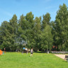 Kompleks Rekreacyjno-Sportowy Leśniewo