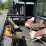 Lomsesanden