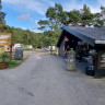 Lomsesanden