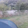 Kvåsfossen Camping - Direkt an einem reissenden Lachsfluss. Zu schön um wahr zu sein 