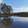 Evjetun