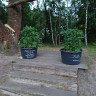 Campingpark Silbersee / Lausitz
