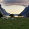 Kjerag Lysebotn Camping Resort