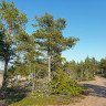 Norrfällsvikens Camping & Stugby