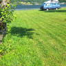 Stedje Camping