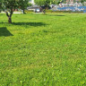 Stedje Camping