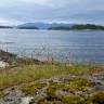 Sponavik Camping