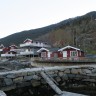 Viki Fjordcamping
