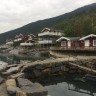 Viki Fjordcamping