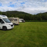 Flora Camping
