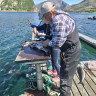 Kjellingstraumen Fjordcamp