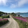 Lyngvær Lofoten Bobilcamping