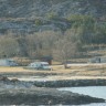 Torghatten Camping