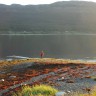 Sandnes Fjord Camping - Nice beaches.