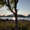 Fjordbotn Camping