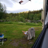 Ål Camping