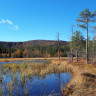 Särna Camping - Fulufjället Nationalpark