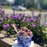 Vinsl&ouml;vs Camping