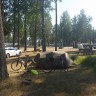 Vivstavarvstjärns Camping