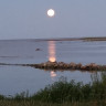 Wikegårds Semesterby & Ställplatscamping - Der Mond geht auf