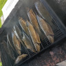 Blattnicksele Camping Fiskecamp